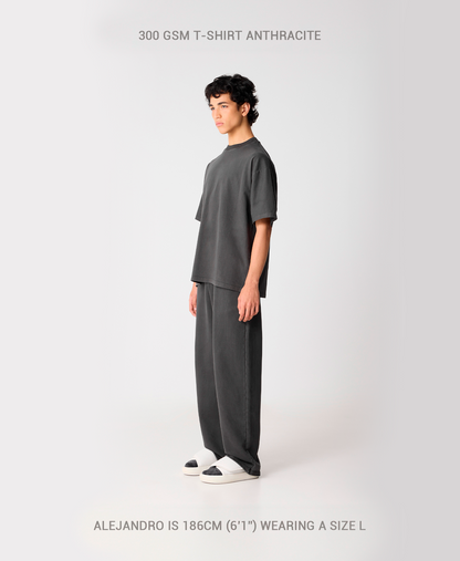 300 GSM 'Mojave' T-Shirt