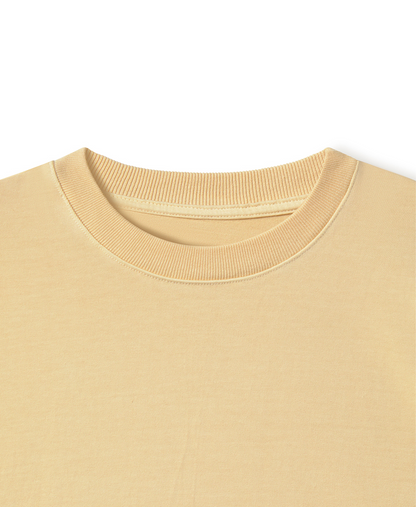300 GSM 'Frost' T-Shirt