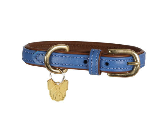 Digby & Fox Padded Leather Dog Collar Blue