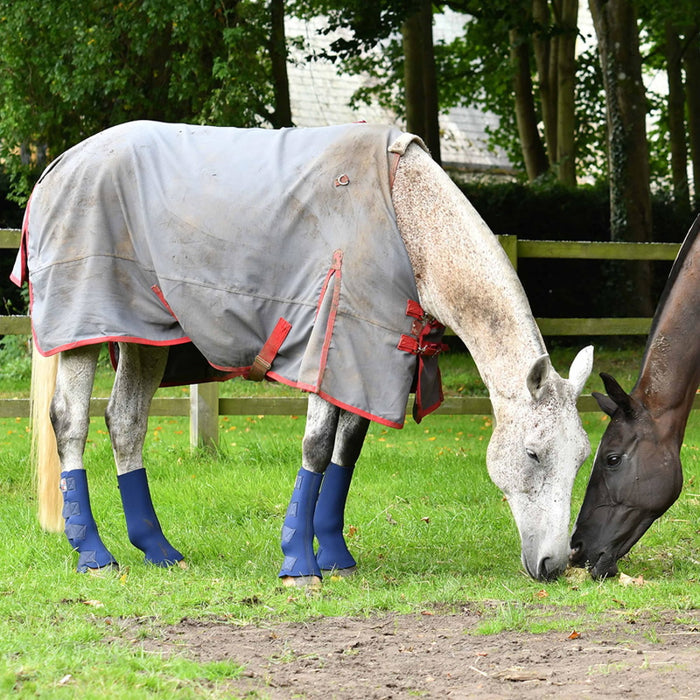 Equilibrium Equi-Hardy Chaps