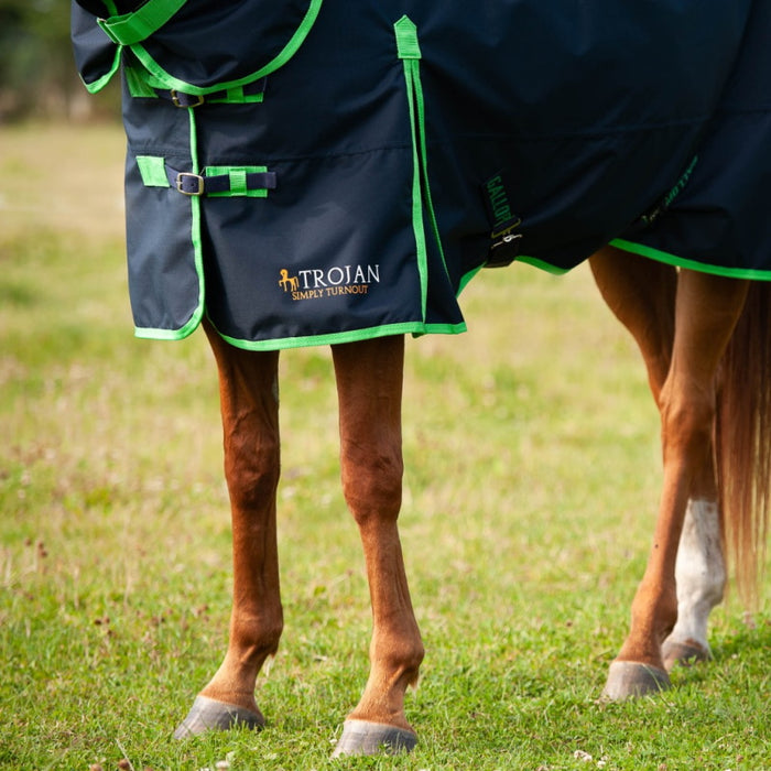 Gallop No Fill Combo Turnout
