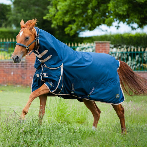 Gallop Trojan 100g Combo Turnout Rug