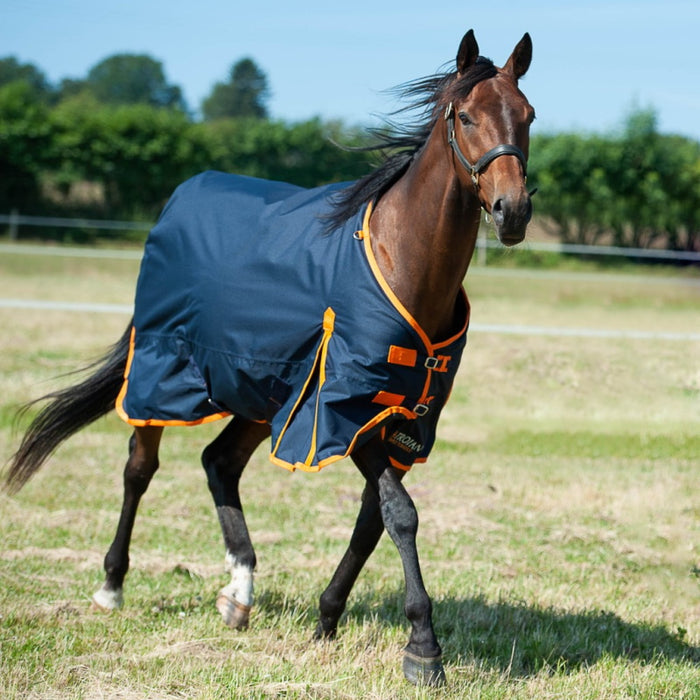 Gallop Trojan 100g Turnout Rug