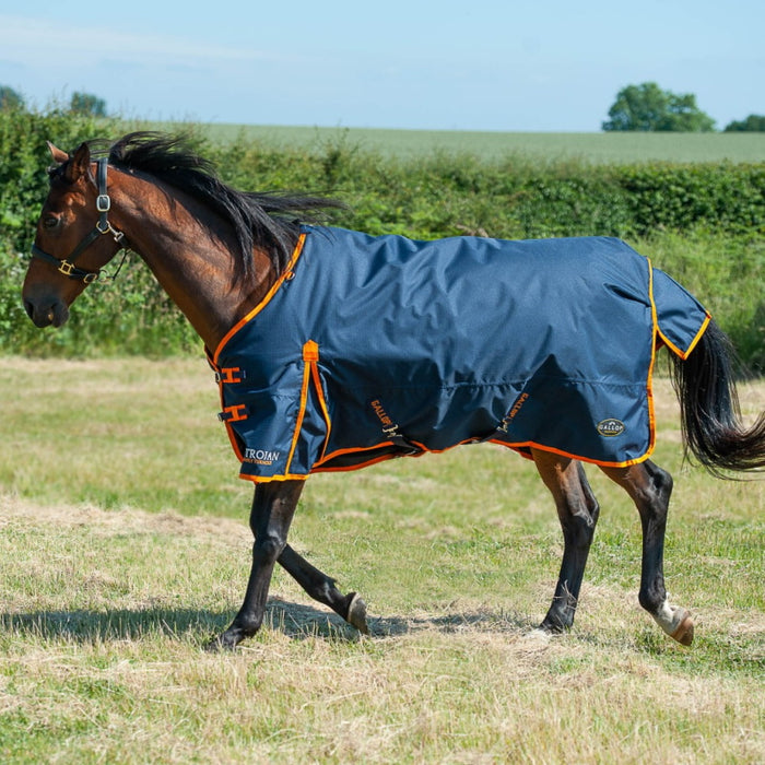 Gallop Trojan 100g Turnout Rug