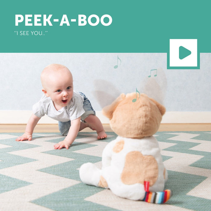 Interactive Soft Toy - Danny the Dog - Little Kooma