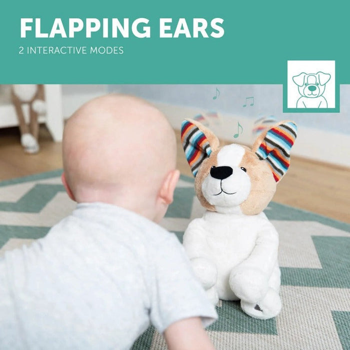 Interactive Soft Toy - Danny the Dog - Little Kooma