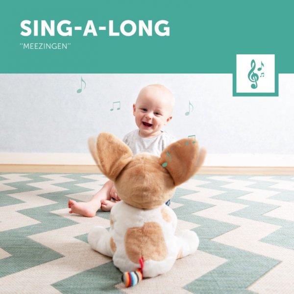 Interactive Soft Toy - Danny the Dog - Little Kooma