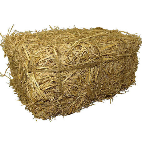 Straw: Single Bale